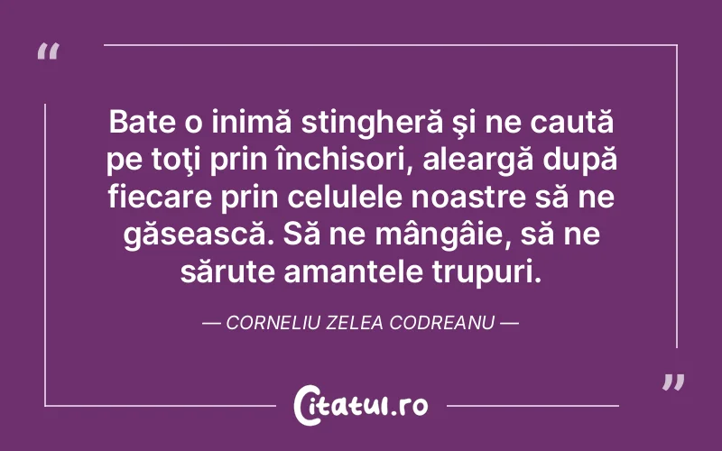 Citat Corneliu Zelea Codre - citate viata