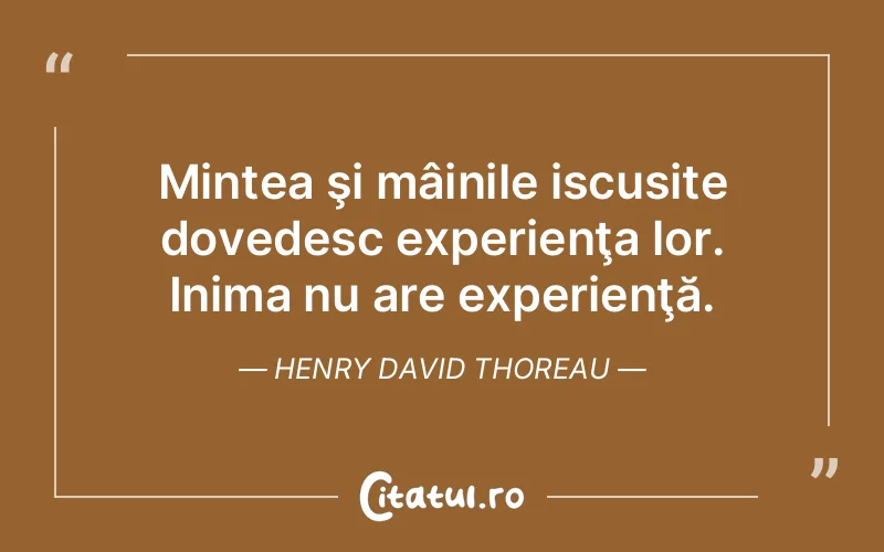 Citat Henry David Thoreau - citate viata