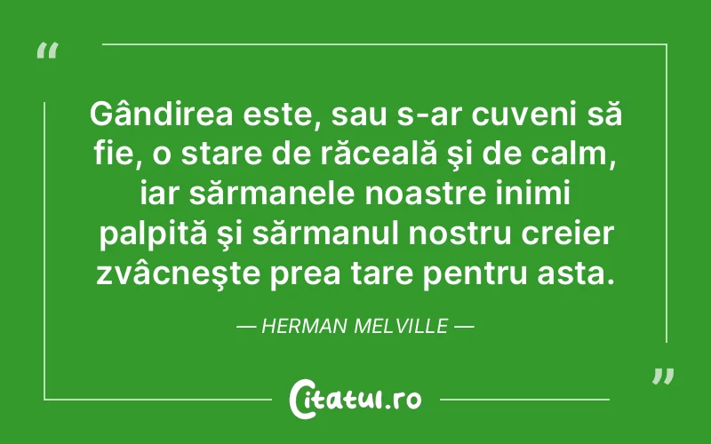 Citat Herman Melville - citate viata