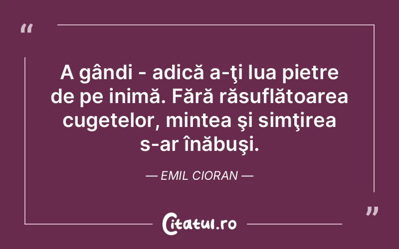 Citat Emil Cioran - citate viata