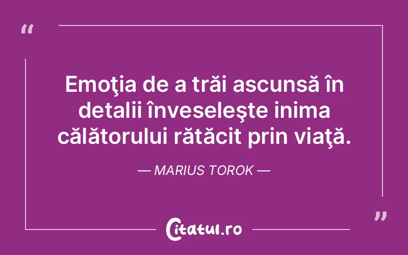 Citat Marius Torok - citate viata