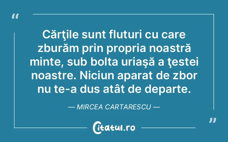 Citat Mircea Cartarescu - citate viata