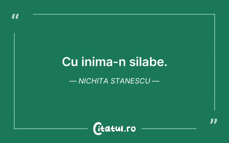Citat Nichita Stanescu - citate viata