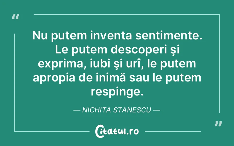 Citat Nichita Stanescu - citate viata