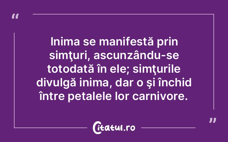 Citat Autor necunoscut - citate viata