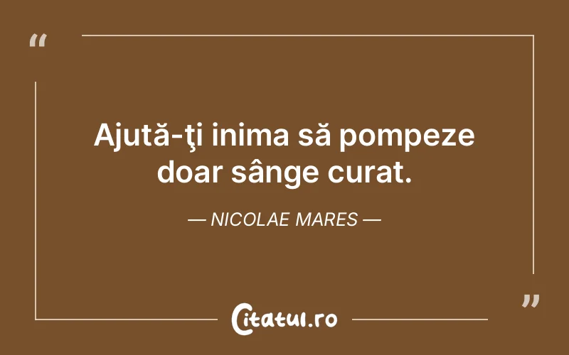Citat Nicolae Mares - citate viata