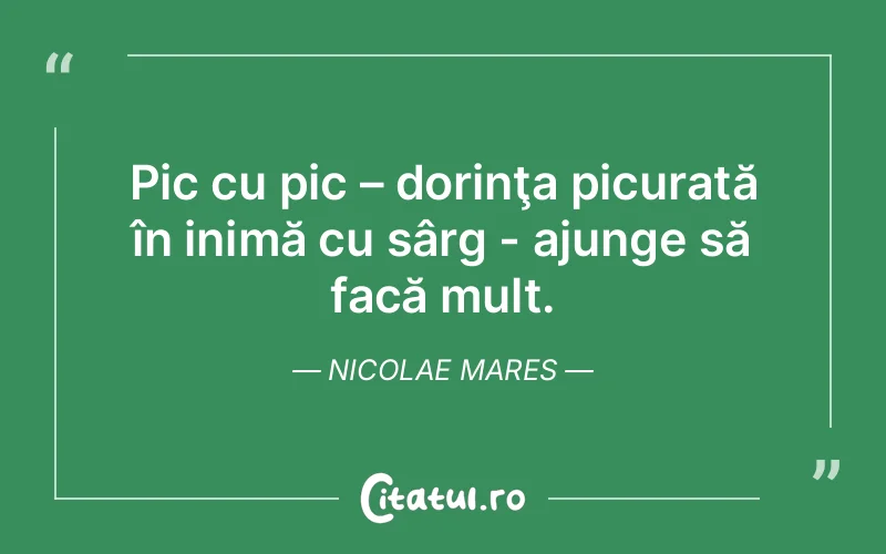 Citat Nicolae Mares - citate viata