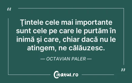 Nu pot să-mi fiu propriul meu şef; nu ...
