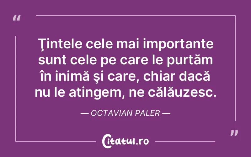 Citat Octavian Paler - citate viata