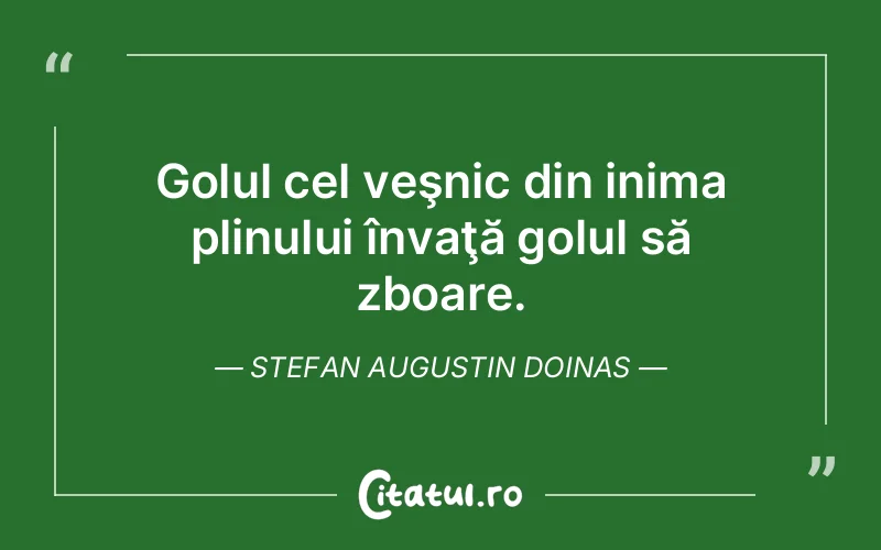 Citat Stefan Augustin Doinas - citate viata