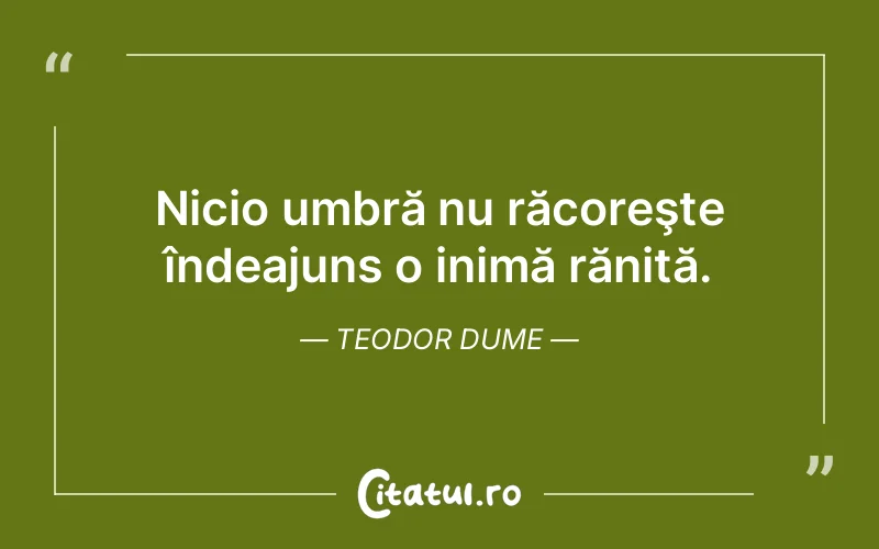 Citat Teodor Dume - citate viata