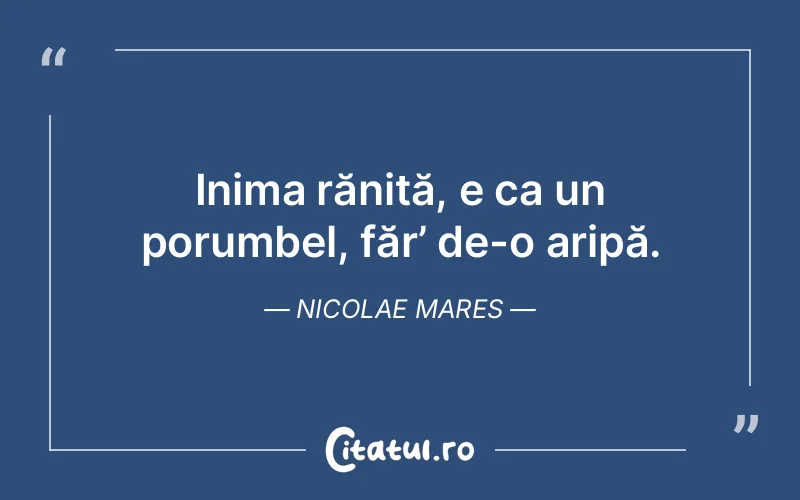 Citat Nicolae Mares - citate viata