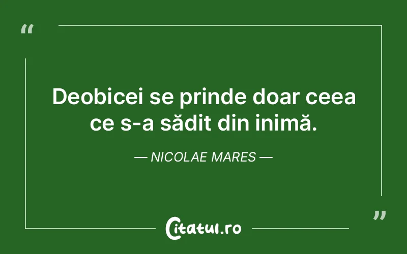 Citat Nicolae Mares - citate viata