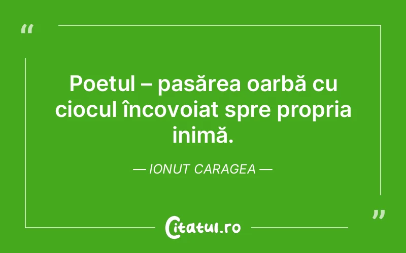 Citat Ionut Caragea - citate viata