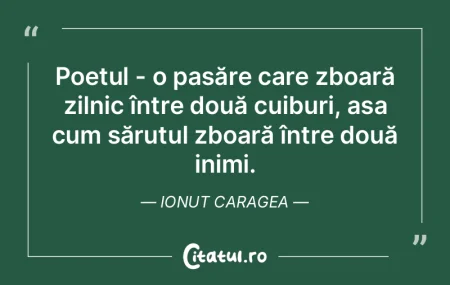 Inima își caută cârdul de inimi în ... Inima își caută cârdul de inimi în ...