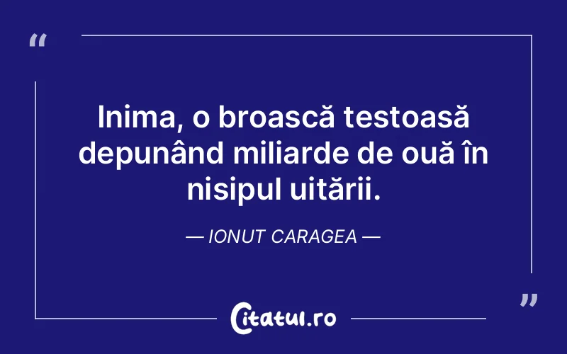 Citat Ionut Caragea - citate viata