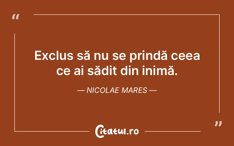 Citat Nicolae Mares - citate viata