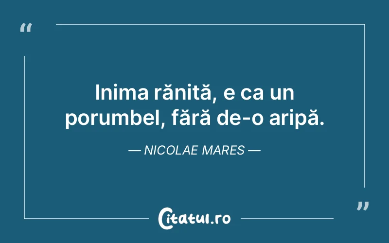 Citat Nicolae Mares - citate viata
