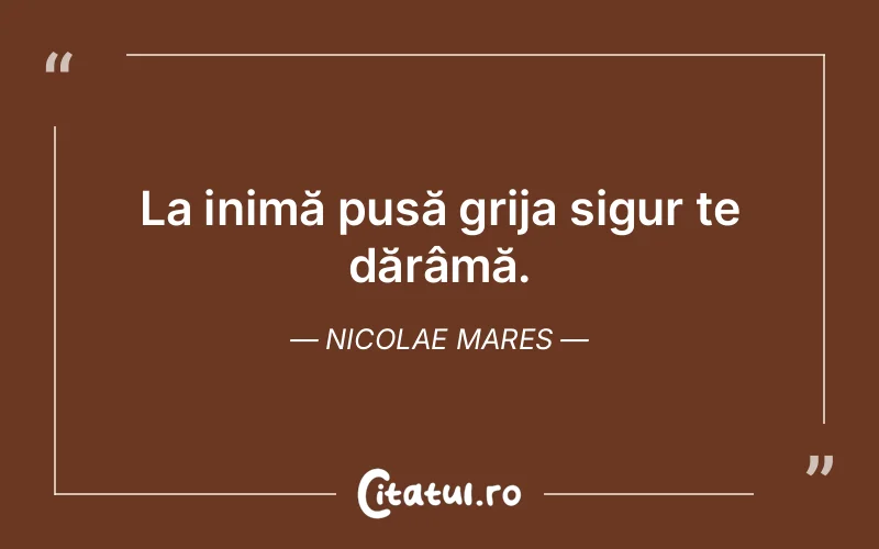 Citat Nicolae Mares - citate viata