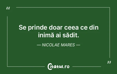 Un singur conducător, un singur popor, ...
