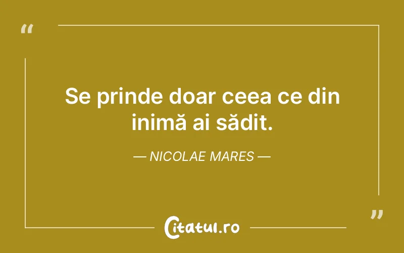 Citat Nicolae Mares - citate viata