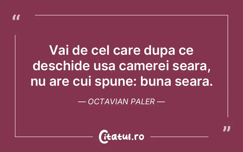 Citat Octavian Paler - citate viata