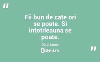 Fii bun de cate ori se poate. Si intotdeauna se poate.  Dalai Lama...