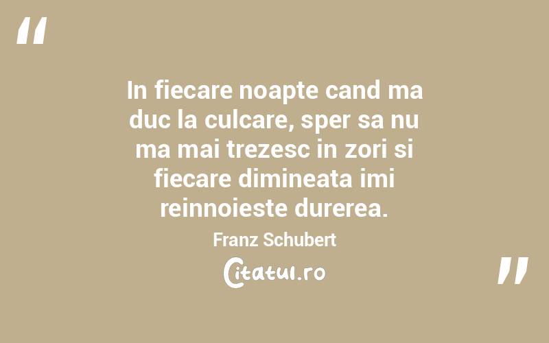 In fiecare noapte cand ma duc la culcare, sper sa nu ma mai trezesc in zori si fiecare dimineata imi reinnoieste durerea. Franz Schubert
