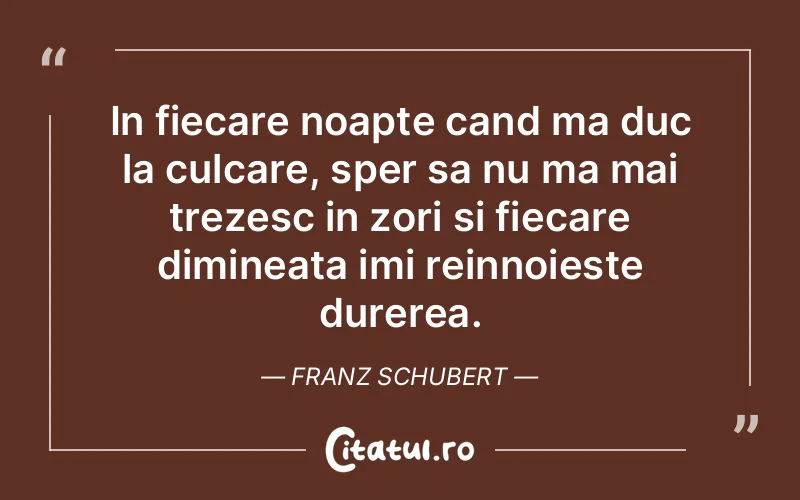 In fiecare noapte cand ma duc la culcare, sper sa nu ma mai trezesc in zori si fiecare dimineata imi reinnoieste durerea. Franz Schubert