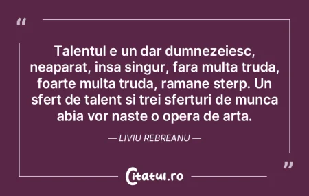 O generaţie literară e doar o sumă de... O generaţie literară e doar o sumă de...
