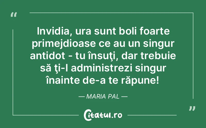 Citat Maria Pal - citate viata