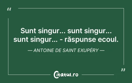 Cine nu ştie să fie singur într-o mul...