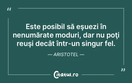 Nu aş fi putut niciodată să fac ceea ...