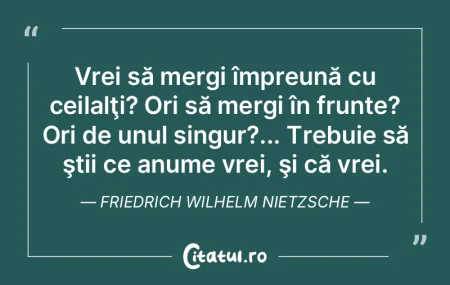 Îi urăsc pe cei care îmi fură singur...
