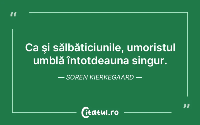 Citat Soren Kierkegaard - citate viata
