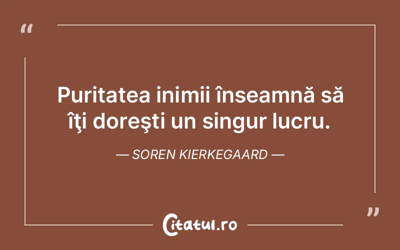 Citat Soren Kierkegaard - citate viata