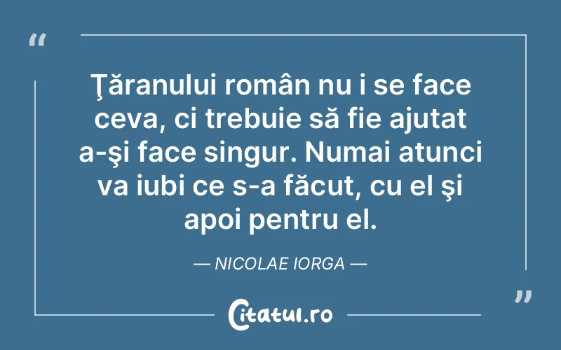 Citat Nicolae Iorga - citate viata
