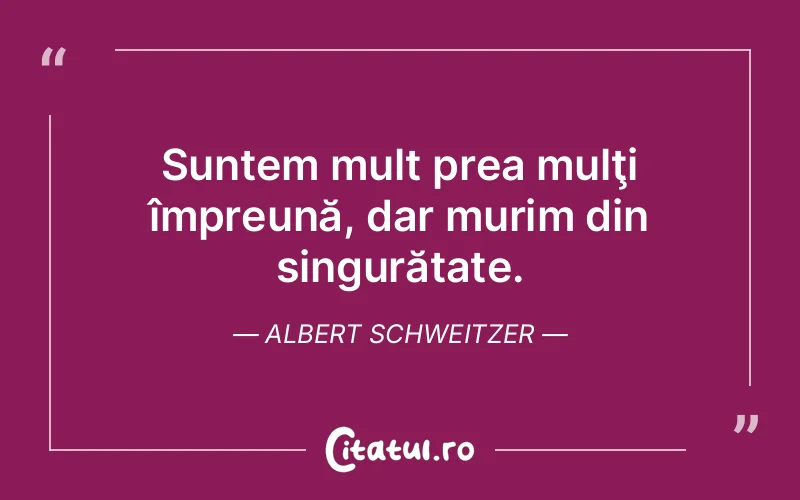 Citat Albert Schweitzer - citate viata