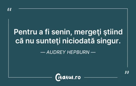 Singurătatea rezolvă toate aceste insu... Singurătatea rezolvă toate aceste insu...