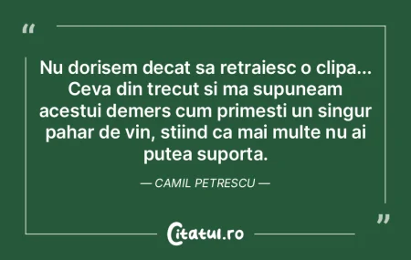 Singurătatea este conștientizarea limi...