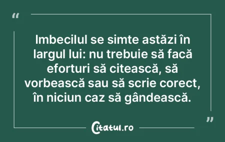 Un alt lucru pe care-l putem sesiza este...