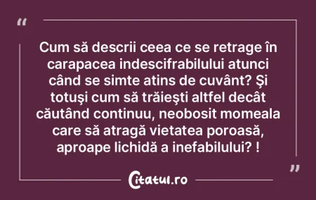 Dacă am avea oportunitatea să ne dedub... Dacă am avea oportunitatea să ne dedub...