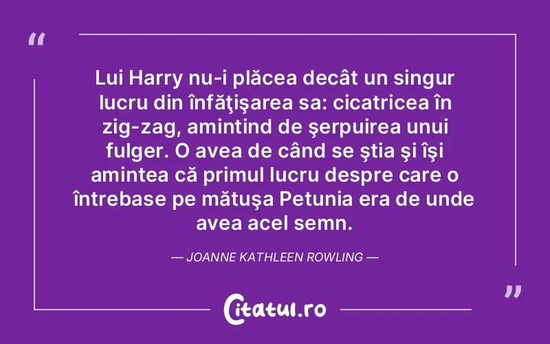 Citat Autor necunoscut - citate viata