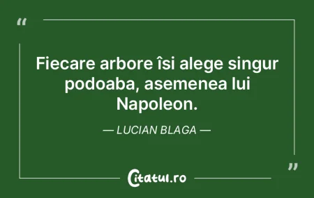 Libertatea, egalitatea și dreptatea sun...