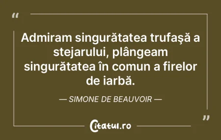 Singurătate, cât eşti de suprapopulat...