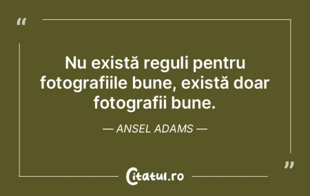 Scopul artei este nu de a reprezenta în...