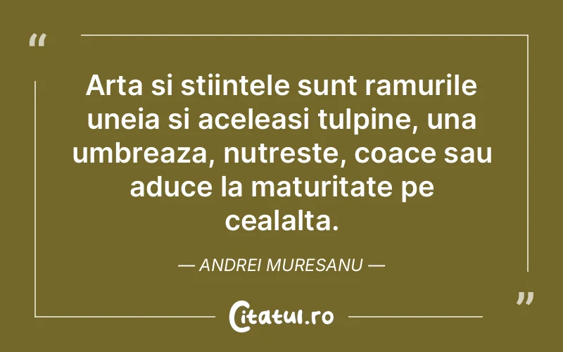 Citat Andrei Muresanu - citate viata