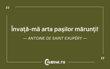 Arta îşi ia ca model natura. Aristotel Arta îşi ia ca model natura. Aristotel