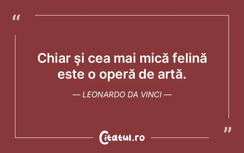 Citat Autor necunoscut - citate viata