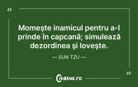 O armată nu poate fi condusă după cod... O armată nu poate fi condusă după cod...